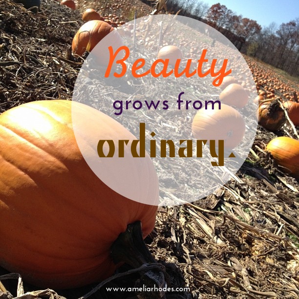 beautyordinary