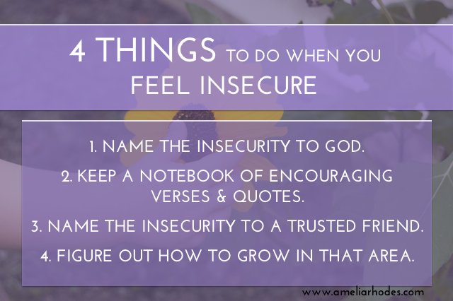 insecurity 4 things