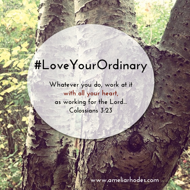 ordinary love and good will by jane smiley ordinary love and good will by jane smiley